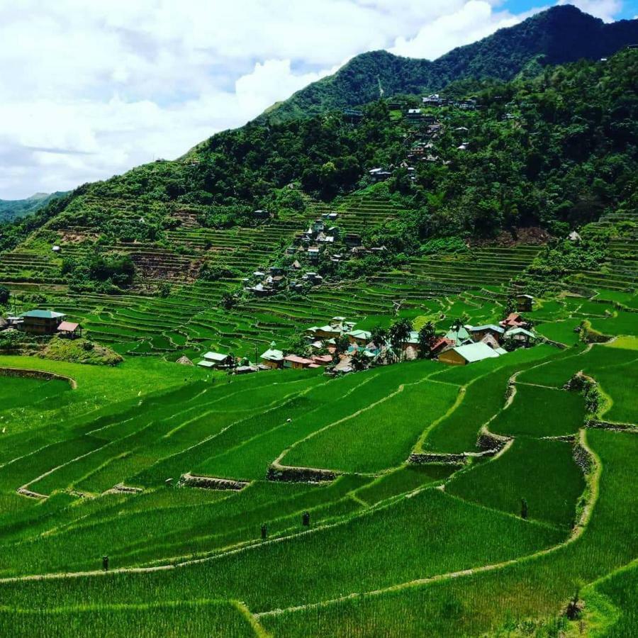 Batad Rita'S Mount View Inn And Restaurant Banaue Exteriér fotografie